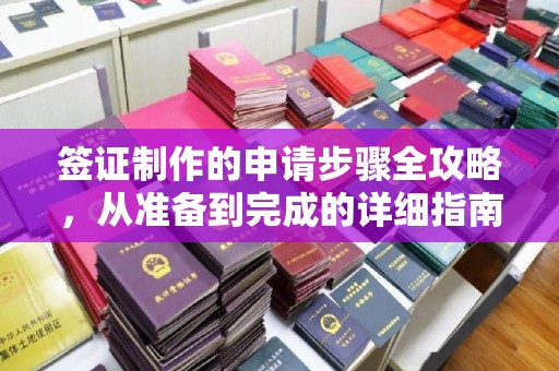阳西签证制作的申请步骤全攻略，从准备到完成的详细指南